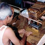 1995 Cuba (12)
