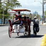 Cuba varie (73)