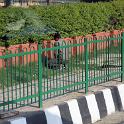 India 2007- (010)