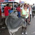 India 2007- (01025)