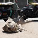 India 2007- (01049)