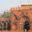 India 2007- (0105)