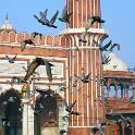 India 2007- (0106)