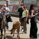 India 2007- (01062)