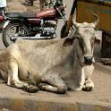 India 2007- (01065)