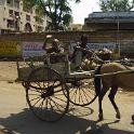 India 2007- (01074)