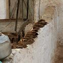 India 2007- (01140)