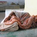 India 2007- (01151)