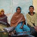 India 2007- (01172)