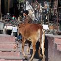 India 2007- (01194)