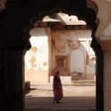 India 2007- (01206)