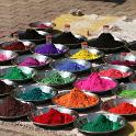 India 2007- (01271)
