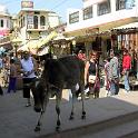 India 2007- (01272)