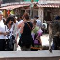 India 2007- (01287)