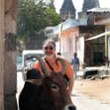India 2007- (01311)