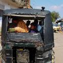 India 2007- (01334)