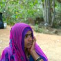 India 2007- (01352)