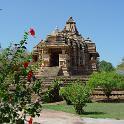 India 2007- (01447)
