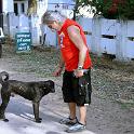 India 2007- (01587)