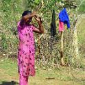 India 2007- (01600)