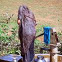 India 2007- (01601)