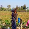 India 2007- (01603)