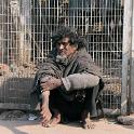 India 2007- (0221)
