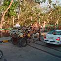 India 2007- (0307)