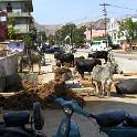 India 2007- (0430)