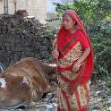 India 2007- (0444)