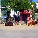 India 2007- (0445)