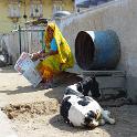 India 2007- (0490)