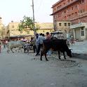 India 2007- (0607)