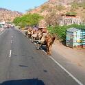 India 2007- (0620)