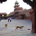 India 2007- (0706)