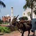 India 2007- (0857)
