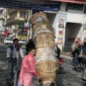 Nepal 2007- (1)