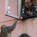 Nepal 2007- (1010)