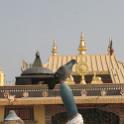 Nepal 2007- (1122)