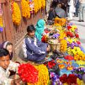 Nepal 2007- (156)