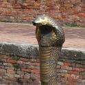 Nepal 2007- (294)