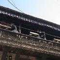 Nepal 2007- (397)