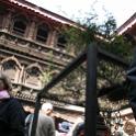 Nepal 2007- (50)