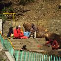 Nepal 2007- (604)