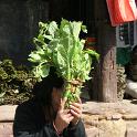 Nepal 2007- (67)