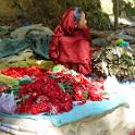 Nepal 2007- (683)