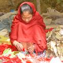 Nepal 2007- (684)