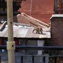Nepal 2007- (773)