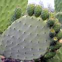 DSCN1867