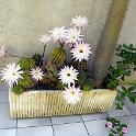DSCN3404